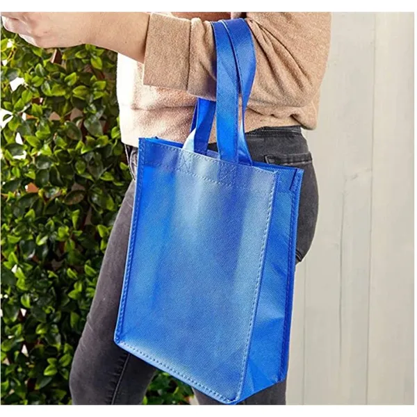 80 gsm Non-Woven Bag/Shopping Bag