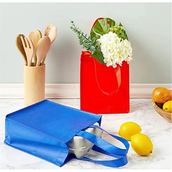 80 gsm Non-Woven Bag/Shopping Bag