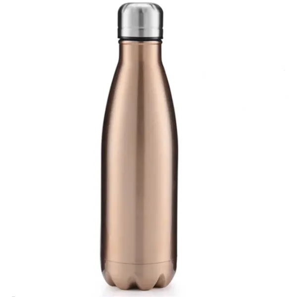 Stainless Steel Water Bottle