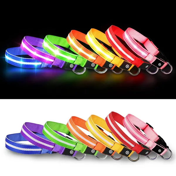 LED Dog Collar