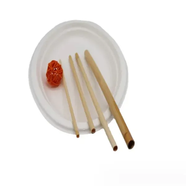 Craft Box Paper Straws