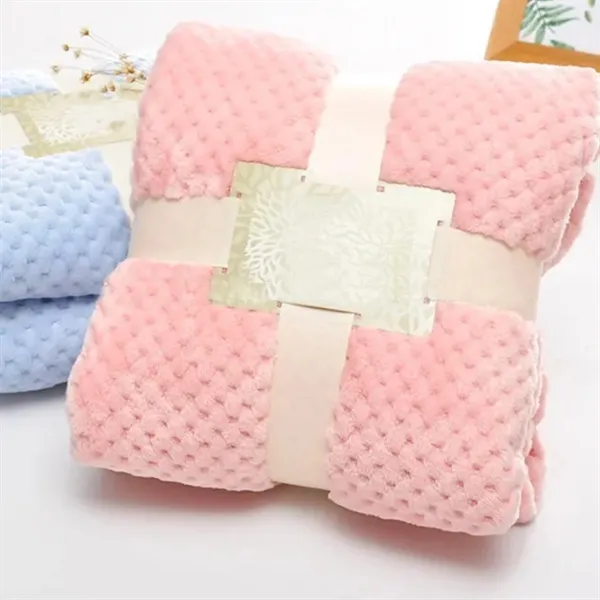 Picnic Plush Soft Throw Blanket