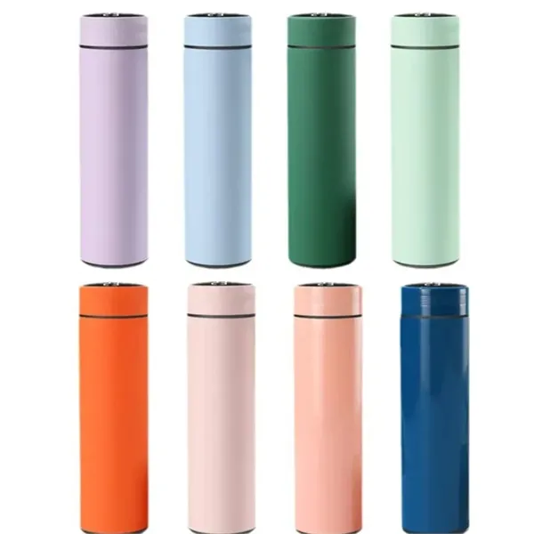 Stainless Steel Insulated Water Bottle