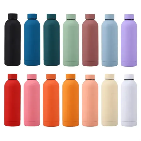 17 oz stainless steel sports bottle