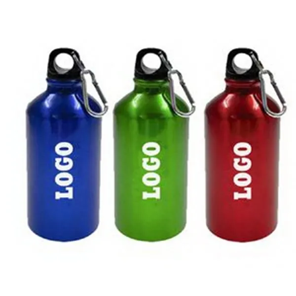 17 Oz. Aluminum Bottle